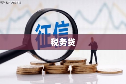库车税务贷