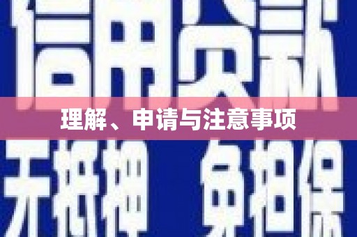 库车理解、申请与注意事项
