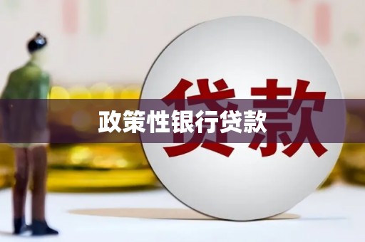 库车政策性银行贷款
