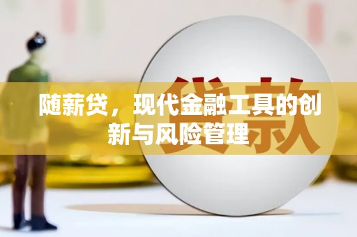 库车随薪贷，现代金融工具的创新与风险管理