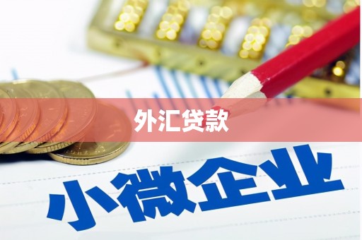 库车外汇贷款