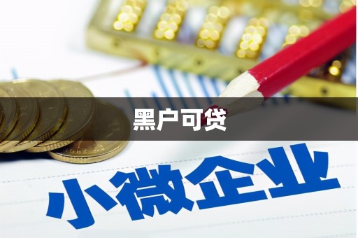 库车黑户可贷