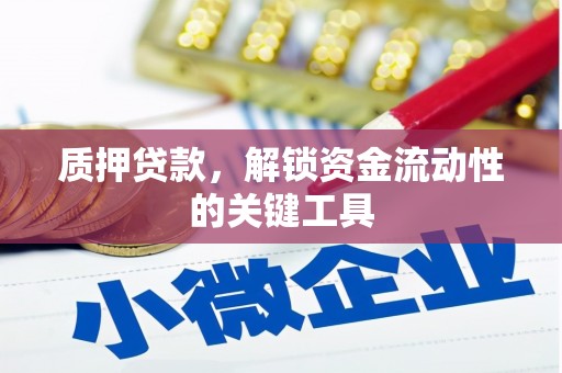 库车质押贷款，解锁资金流动性的关键工具
