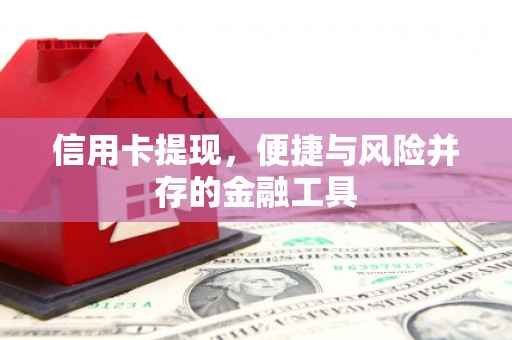 库车信用卡提现，便捷与风险并存的金融工具