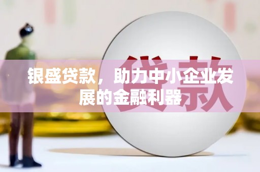 库车银盛贷款，助力中小企业发展的金融利器