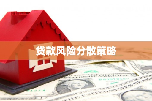 库车贷款风险分散策略