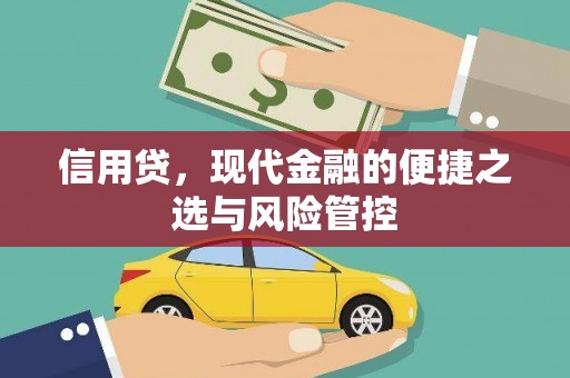 库车信用贷，现代金融的便捷之选与风险管控