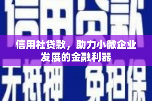 库车信用社贷款，助力小微企业发展的金融利器