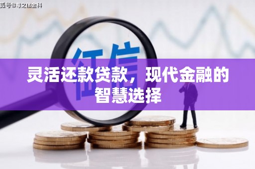 库车灵活还款贷款，现代金融的智慧选择