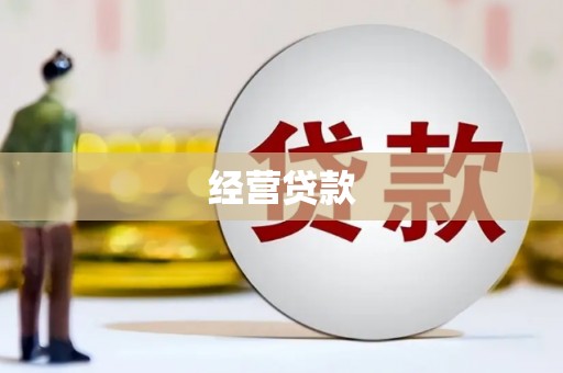 库车经营贷款