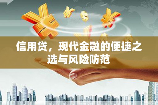 库车信用贷，现代金融的便捷之选与风险防范