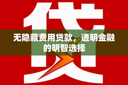 库车无隐藏费用贷款，透明金融的明智选择
