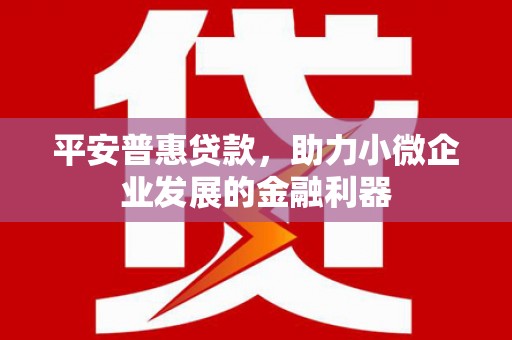 库车平安普惠贷款，助力小微企业发展的金融利器