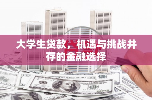 库车大学生贷款，机遇与挑战并存的金融选择