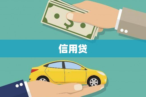 库车信用贷