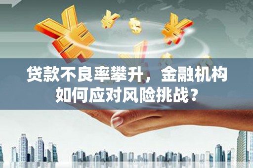 库车贷款不良率攀升，金融机构如何应对风险挑战？