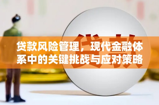 库车贷款风险管理，现代金融体系中的关键挑战与应对策略