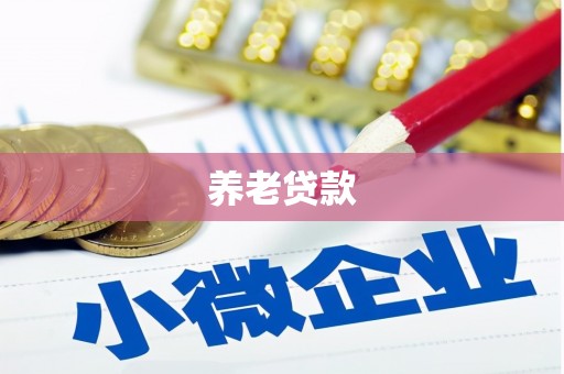 库车养老贷款