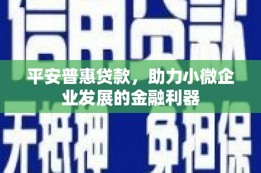 库车平安普惠贷款，助力小微企业发展的金融利器