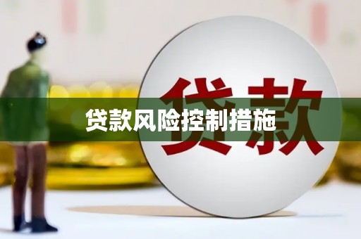 库车贷款风险控制措施